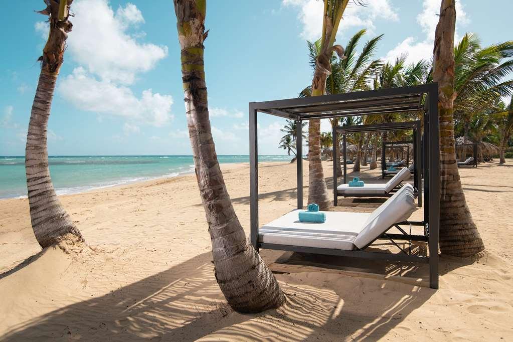 Live Aqua Beach Resort Punta Cana Natură foto